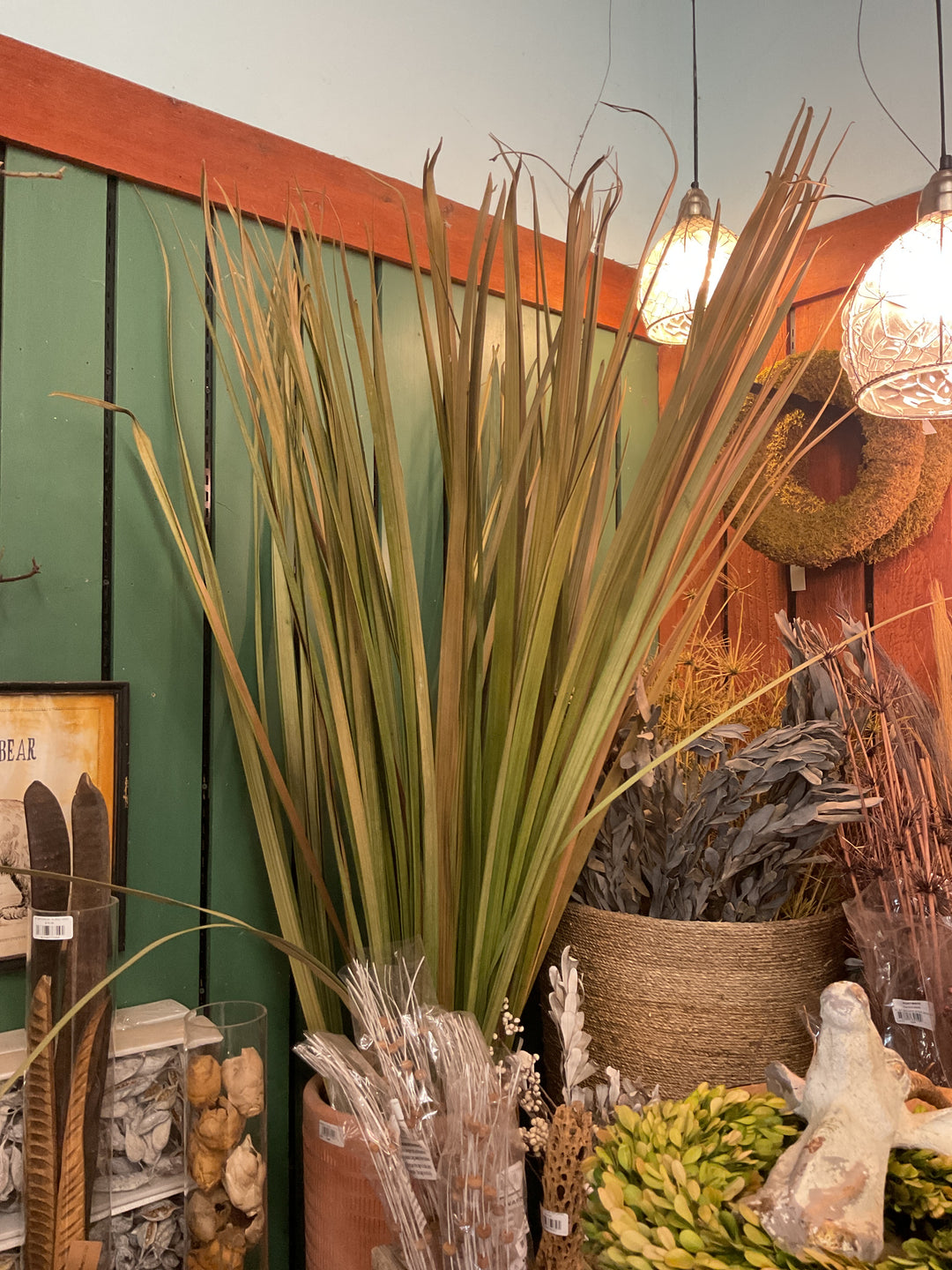 72" BASIL SABLE GRASS BUNDLE