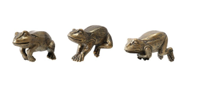 Frog Pot Hanger