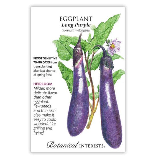 Eggplant Long Purple Org
