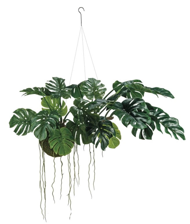 Hanging Faux Monstera Kokedama