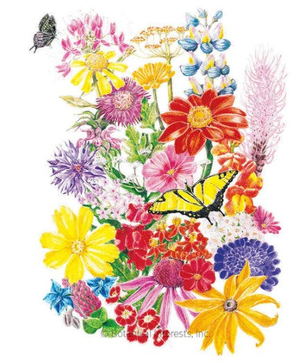 Flower Mix Bring Home the Butterflies Mix Seeds