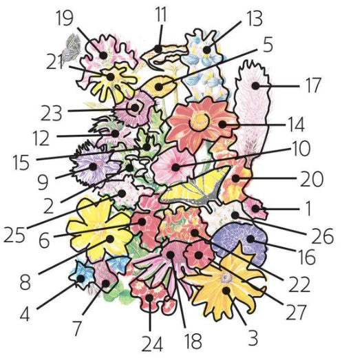 Flower Mix Bring Home the Butterflies Mix Seeds