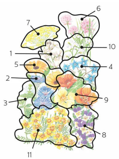 Flower Mix Edible Beauties Seed