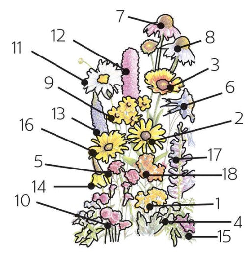 Flower Mix Perennial Bloom