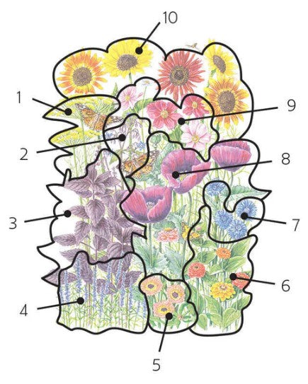 Pollinator Garden Flower Mix Seeds  ORG