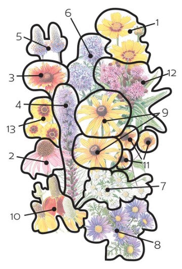 Prairie Splendor Flower Mix Seeds