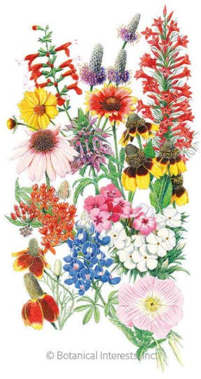 Southern Hills and Plains Flower Mix Seeds