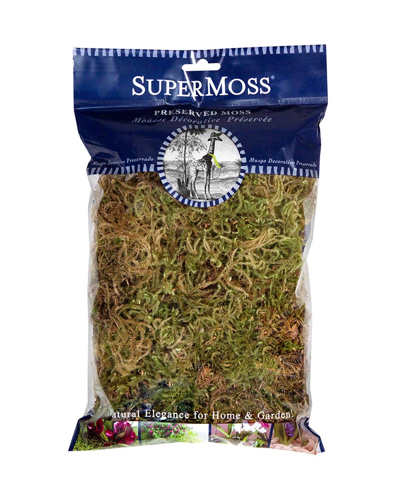 BAG FOREST MOSS DRIED