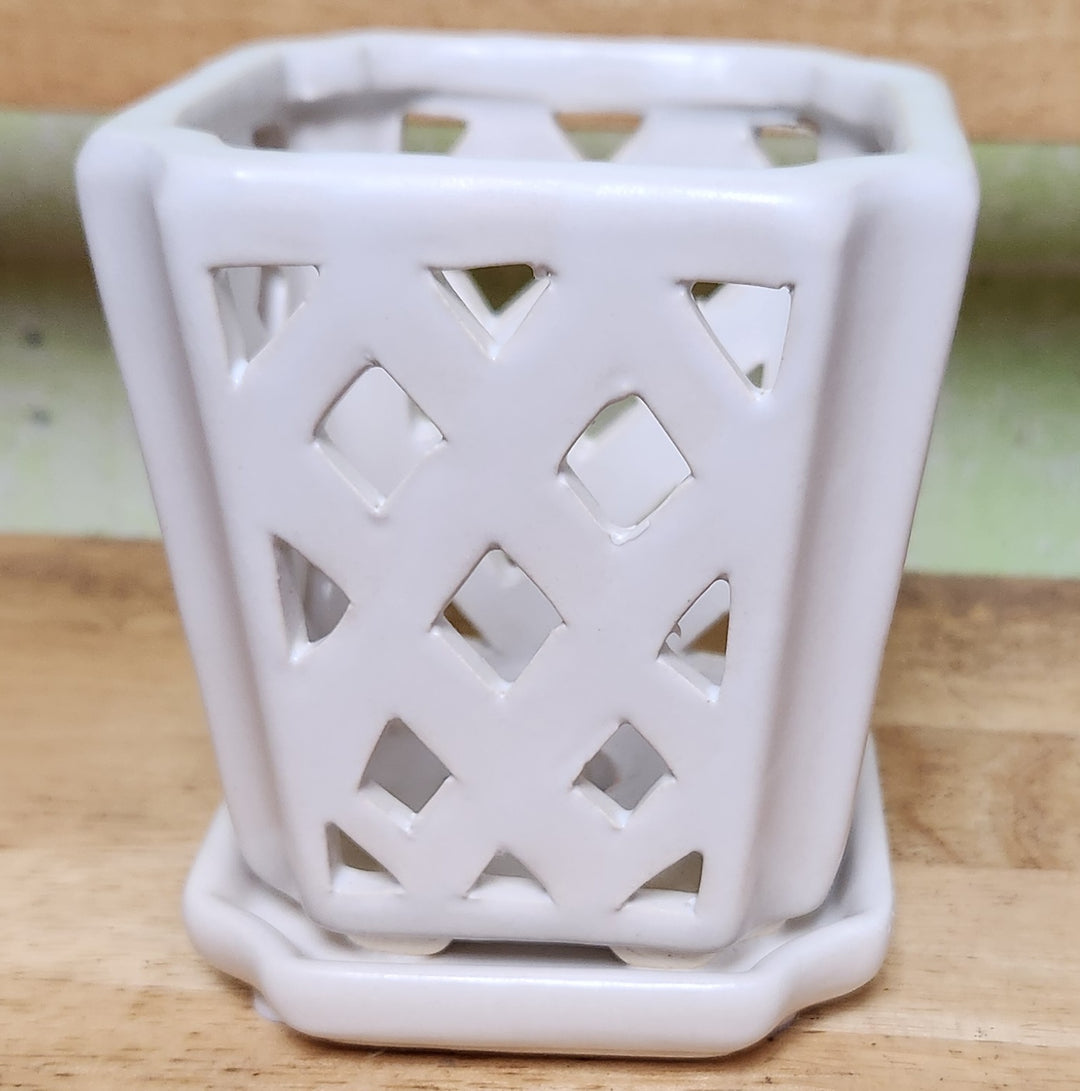 Fremont Orchid Pot SMALL