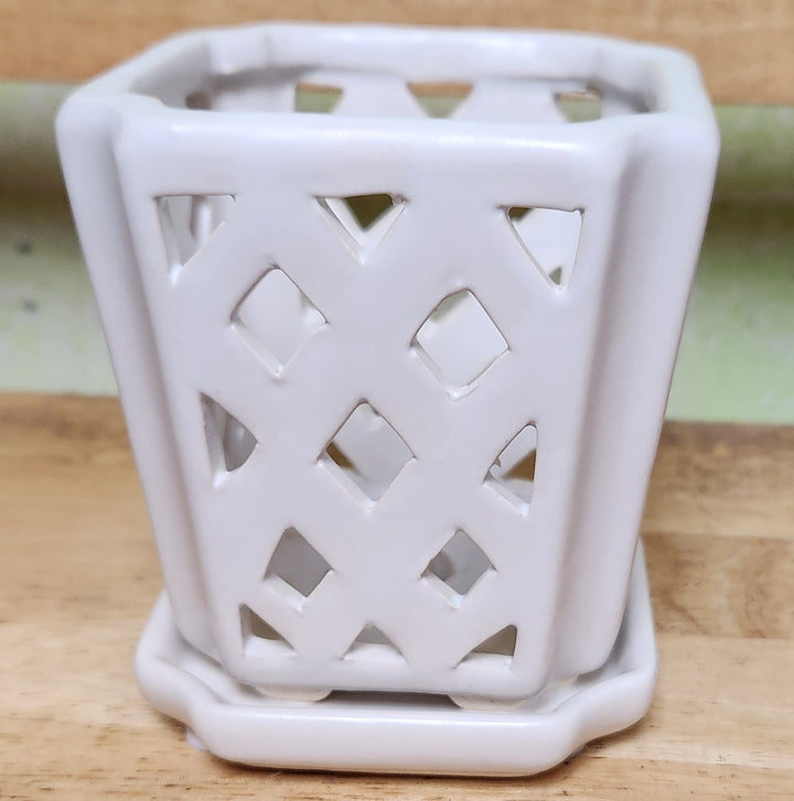Fremont Orchid Pot SMALL
