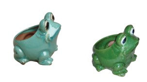Frog Planters