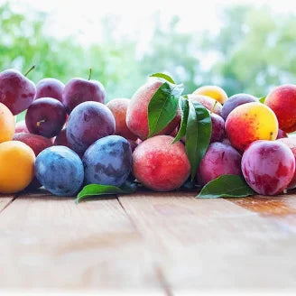 5 in 1 Fruit Cocktail Tree