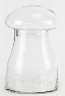 Glass Mushroom Terrarium