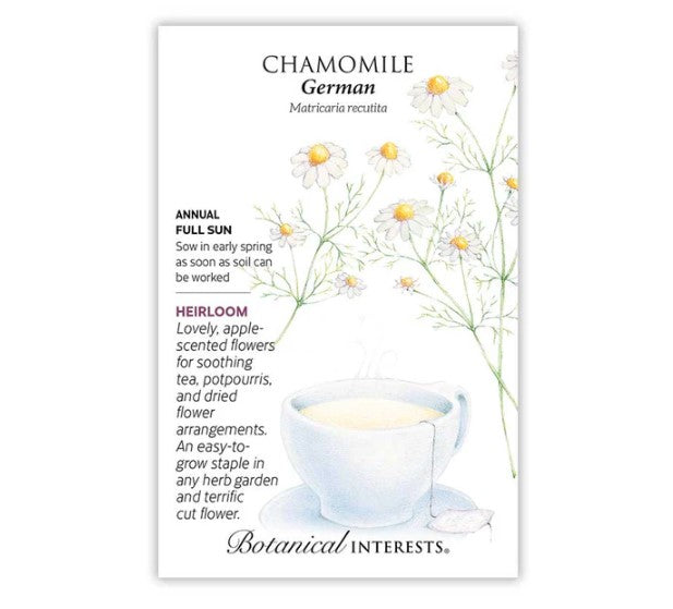 Chamomile German Org