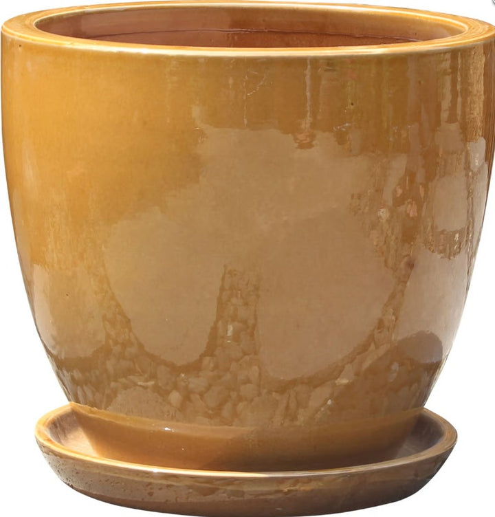 Halo Egg Pot