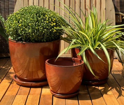 Halo Egg Pot