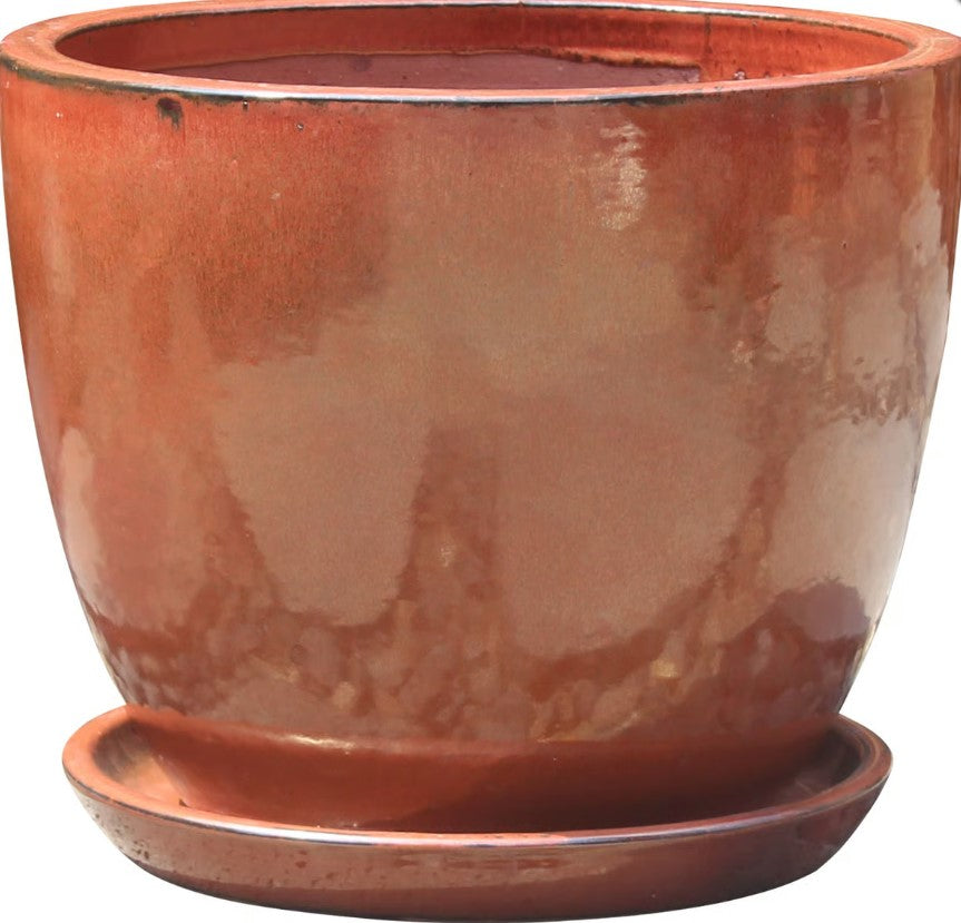 Halo Egg Pot