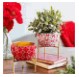 Mini Planters with Stands