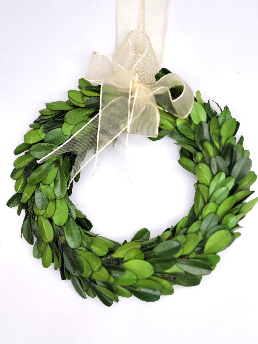 MED BOXWOOD WREATH