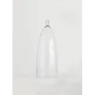 Large Glass Dome