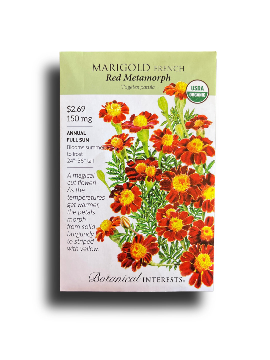 Marigold French Red Metamorph