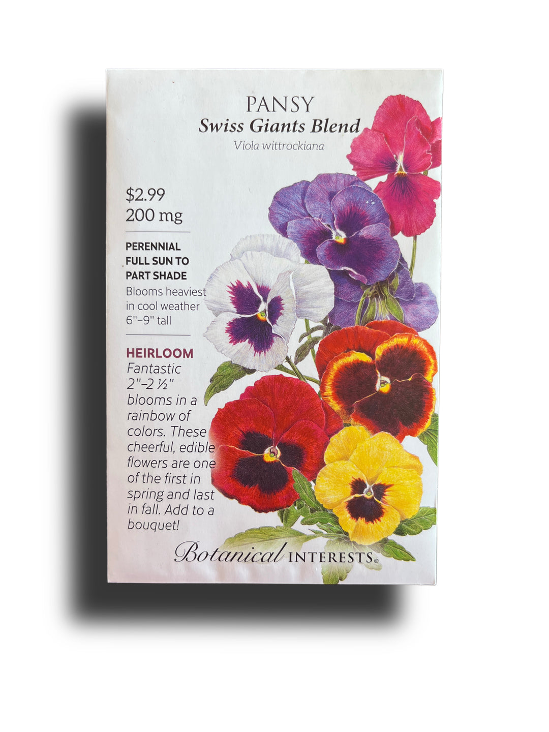 Pansy Swiss Giants Blend
