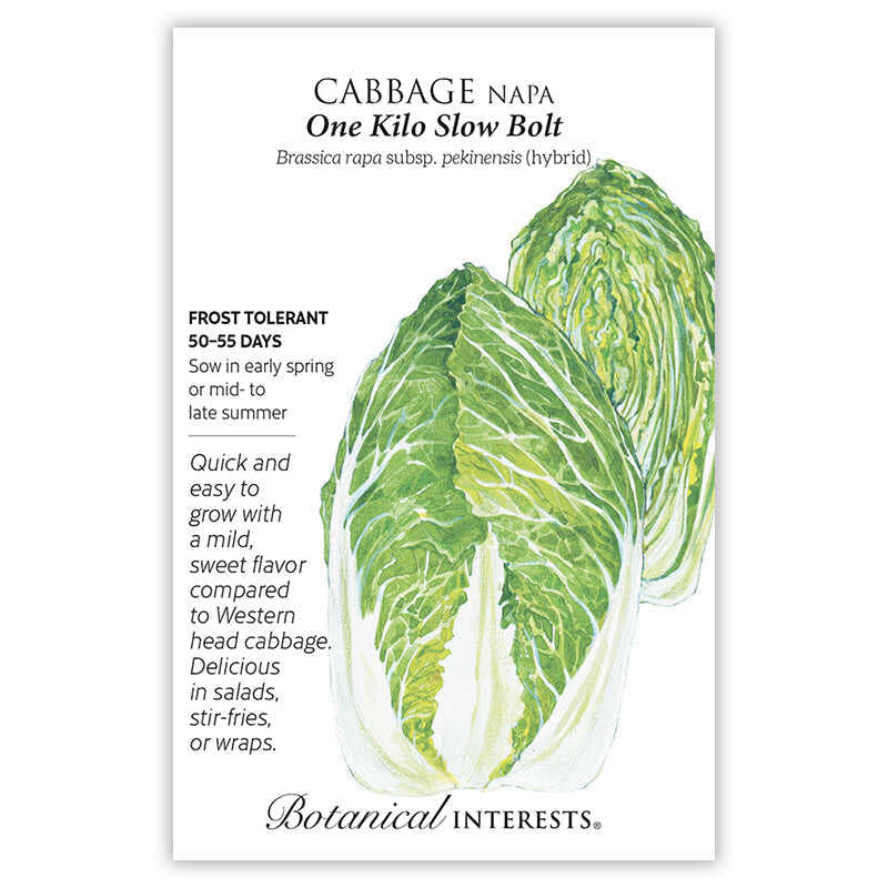Cabbage One Kilo Slow Bolt