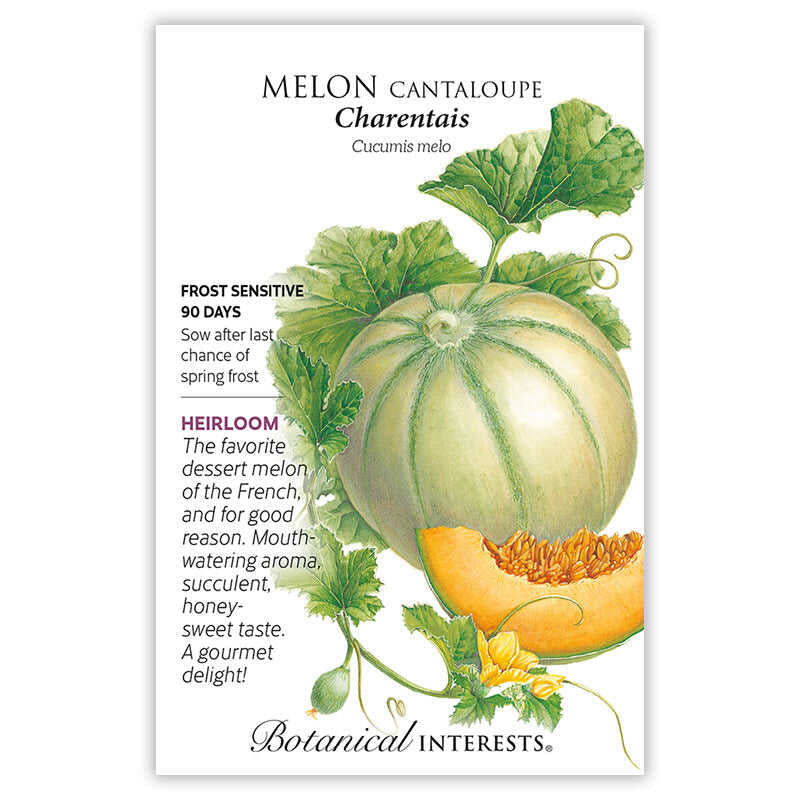 Melon Cantaloupe Charentais