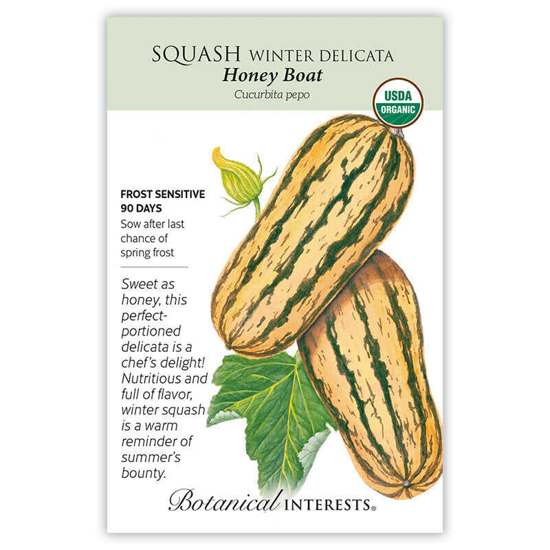 Squash Winter Delicata Honey Boat