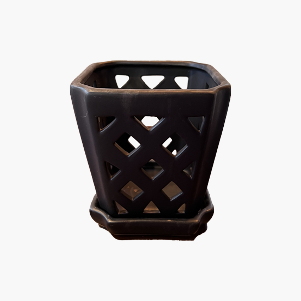 Fremont Orchid Pot SMALL