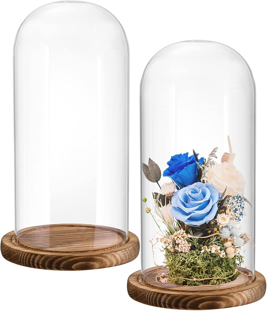 LRG GLASS DOME W/ WOODEN BASE