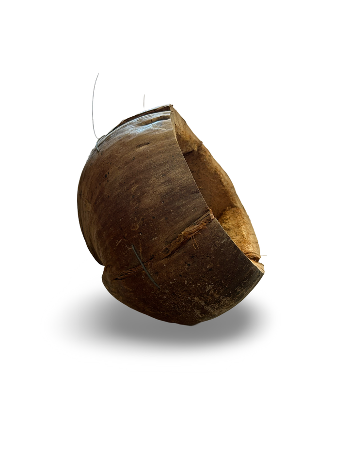 COCONUT SHELL
