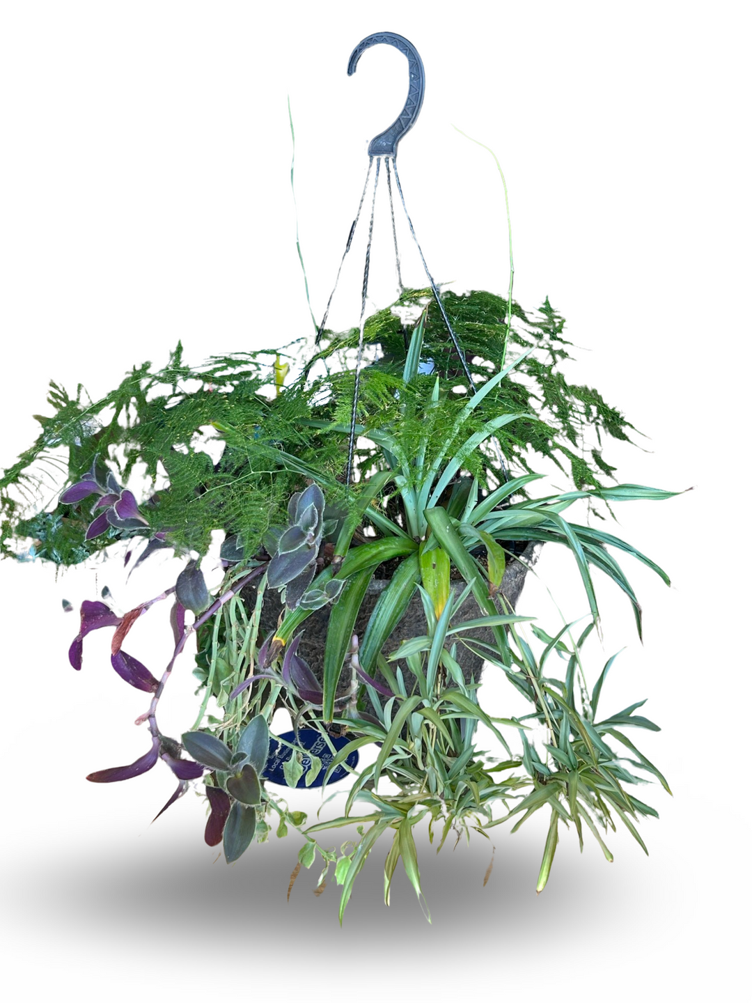 12” Assorted Outdoor Hanging Baskets