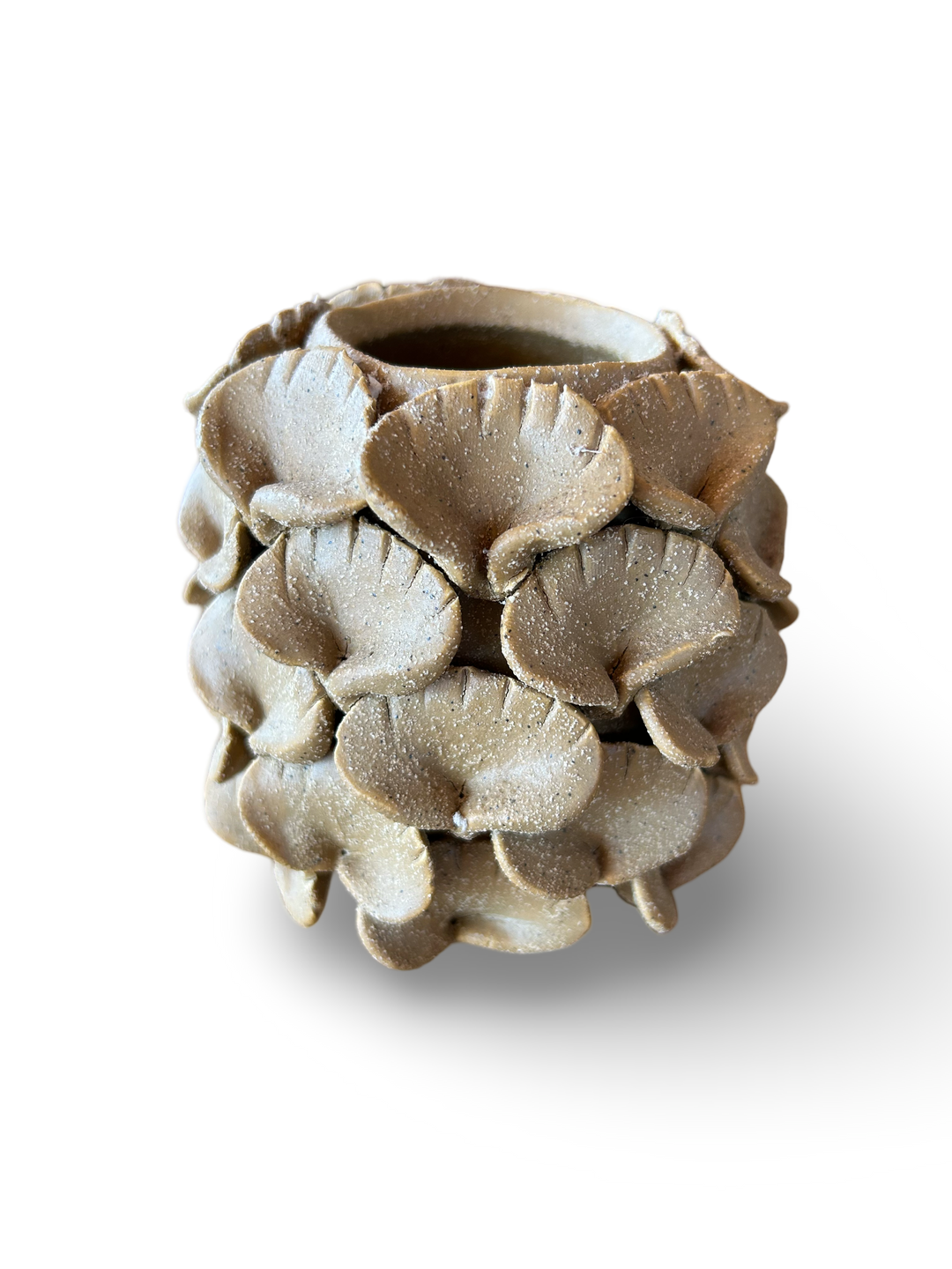 SHELL PLANTER TAN