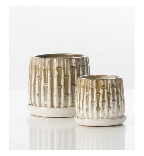 Ladder Petits Pots