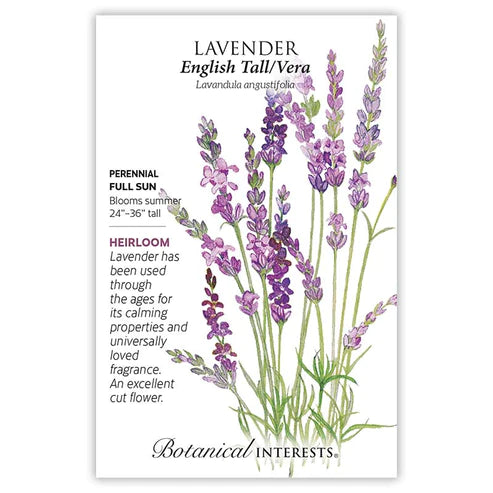 Lavender English Tall/Vera