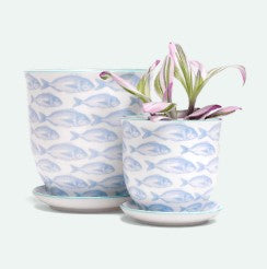 Liberte 5 Porcelain Pot And Saucer