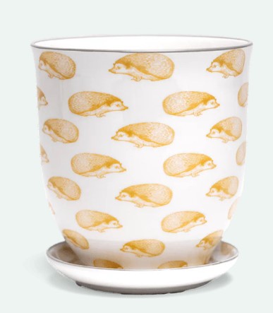Liberte 5 Porcelain Pot And Saucer