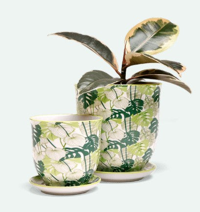 Liberte 5 Porcelain Pot And Saucer