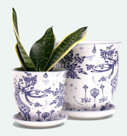 Liberte 5 Porcelain Pot And Saucer