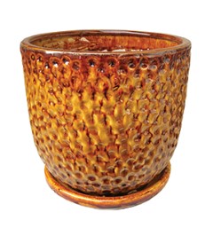 Limelight Planters