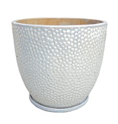 Limelight Planters