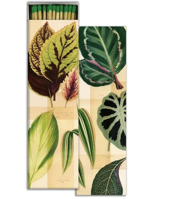 Decorative Matches