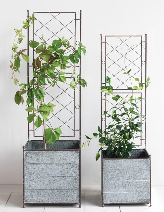 Galvanized Metal Planters with Trellis