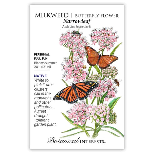 Milkweed Narrowleaf Seeds