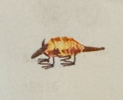 Metal decorative Armadillo