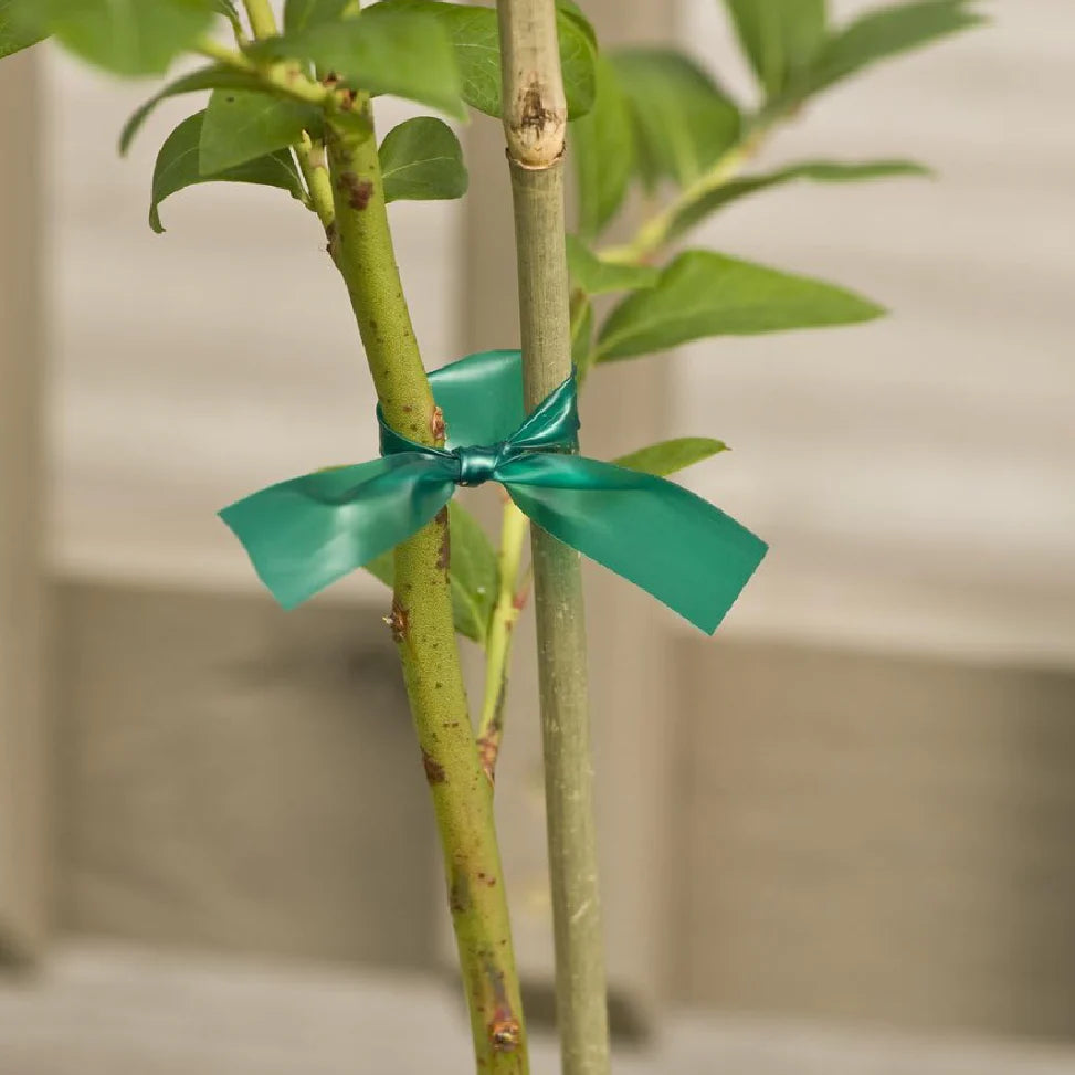 Miracle Garden Tie - All Purpose Tree Tie