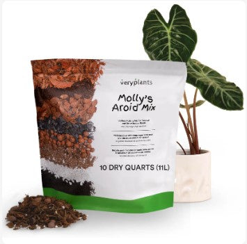 Little Red Nursery, LLC Molly's Aroid Mix - Thumbnail 2