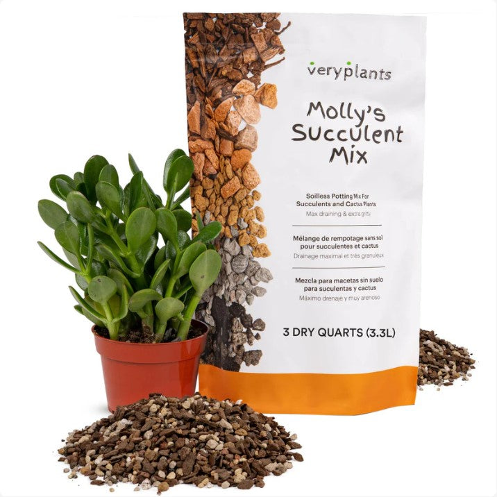 is potting mix ok for succulents Molly's Succulent Mix