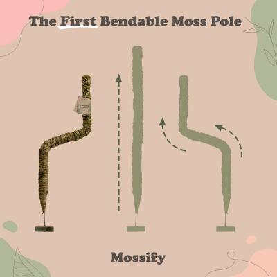 Mossify Original Bendable Moss Pole (Pins included)